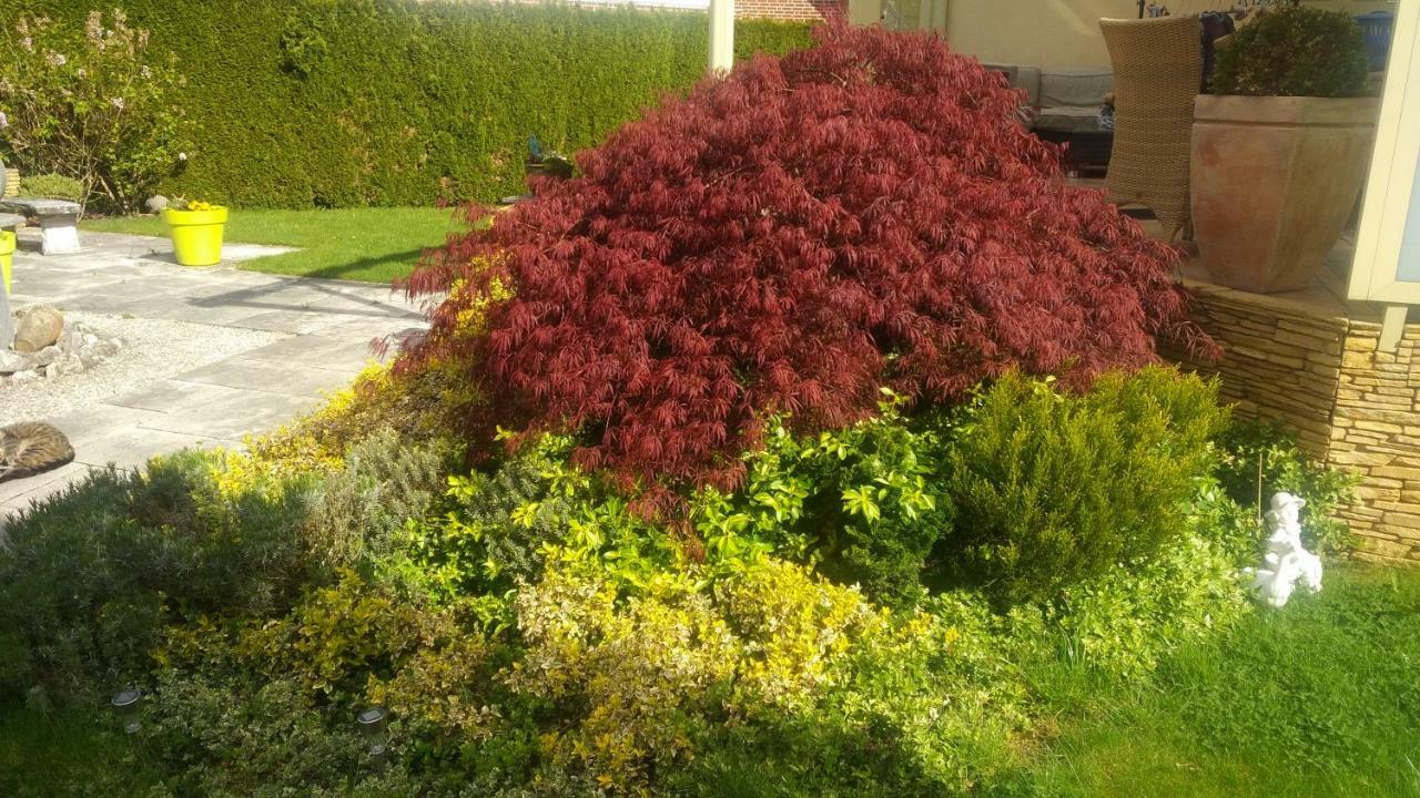 Fewo An Der Muehlenbachaue Nettetal Bagian luar foto